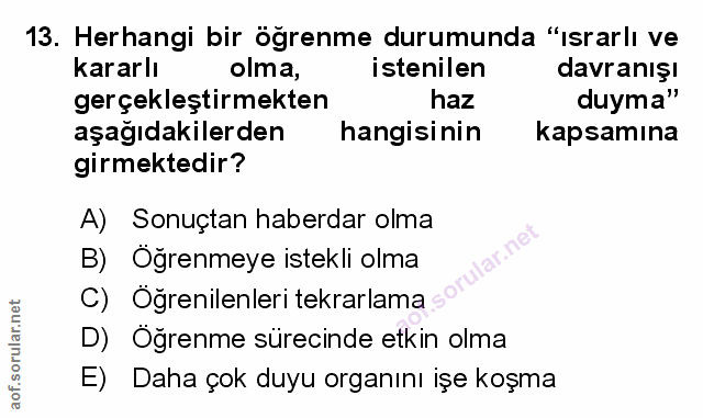 Soru 13
