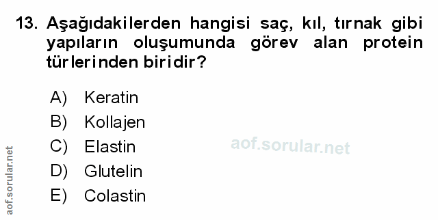 Soru 13