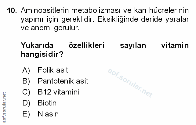 Soru 10