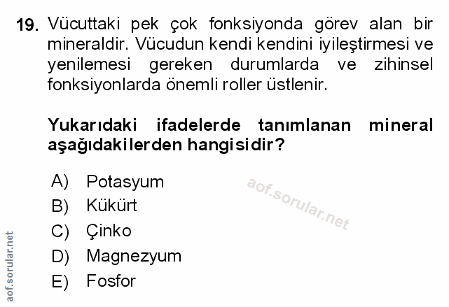 Soru 19