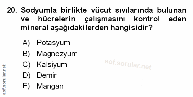 Soru 20