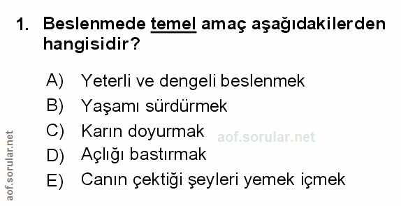 Soru 1