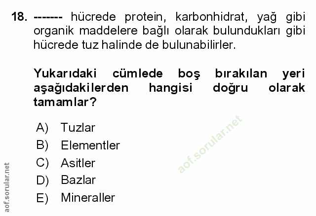 Soru 18