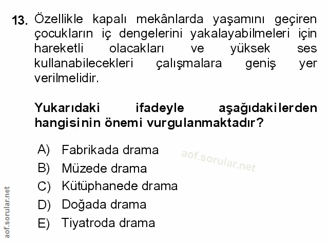 Soru 13