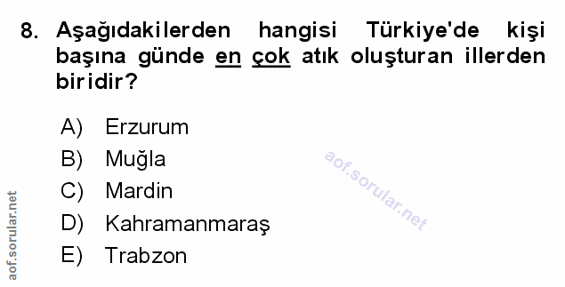 Soru 8