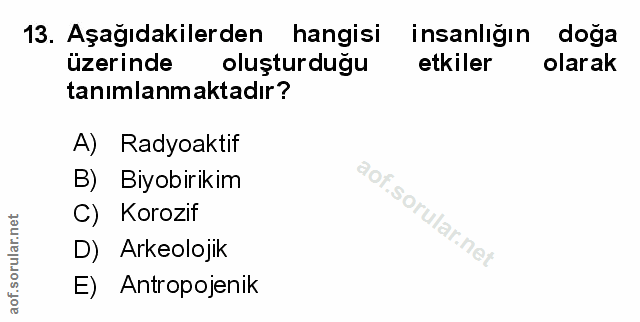Soru 13