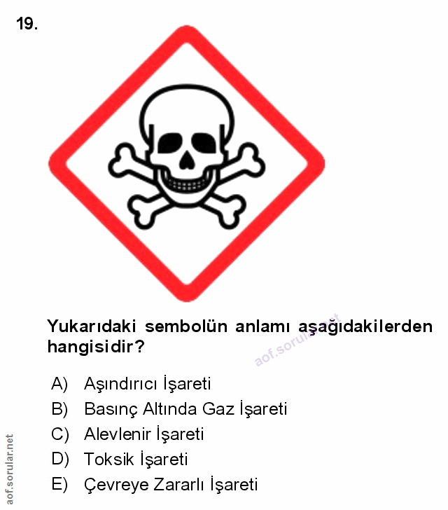 Soru 19