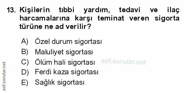 Soru 13