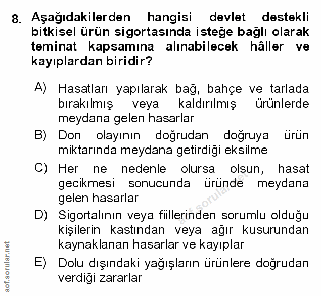 Soru 8