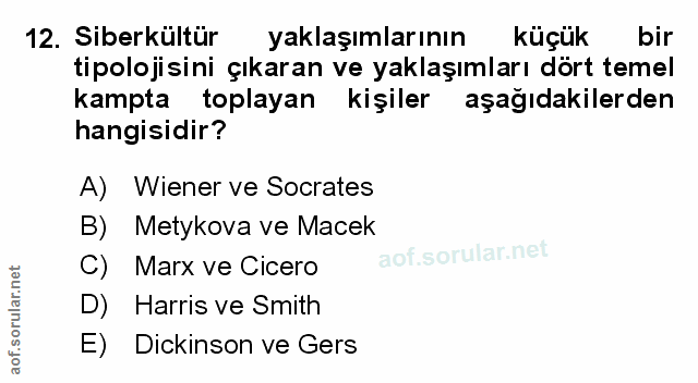 Soru 12