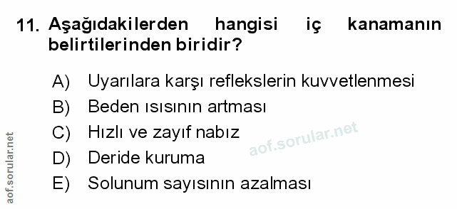 Soru 11