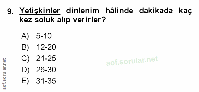 Soru 9