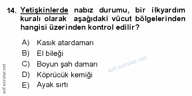 Soru 14