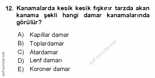 Soru 12