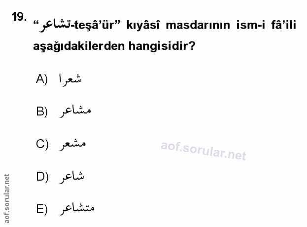 Soru 19