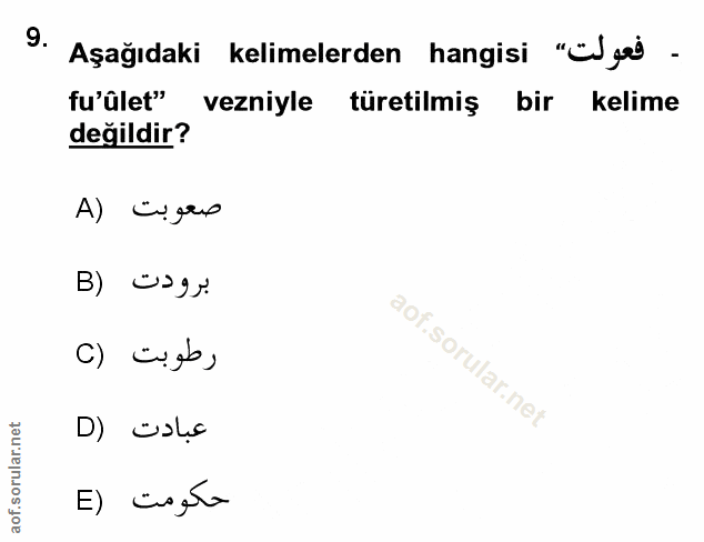 Soru 9