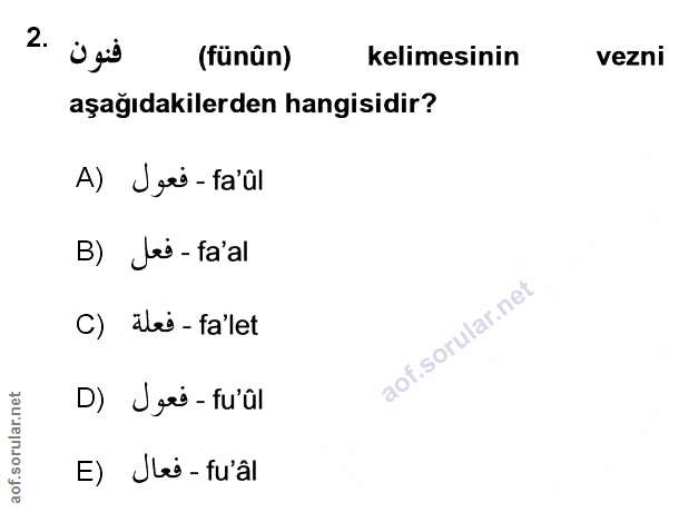 Soru 2