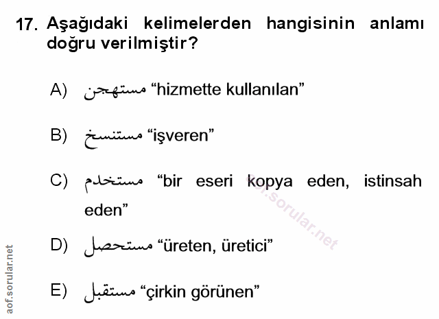 Soru 17