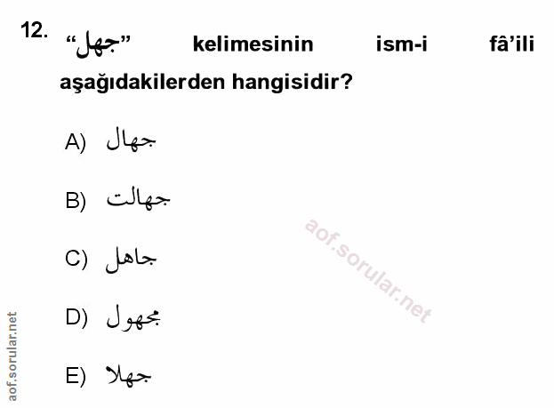Soru 12