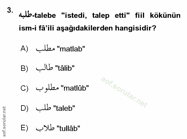 Soru 3