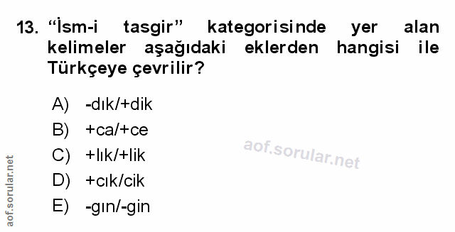 Soru 13
