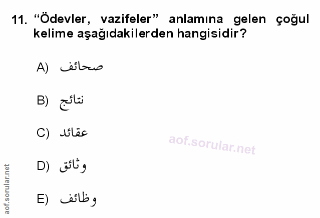 Soru 11