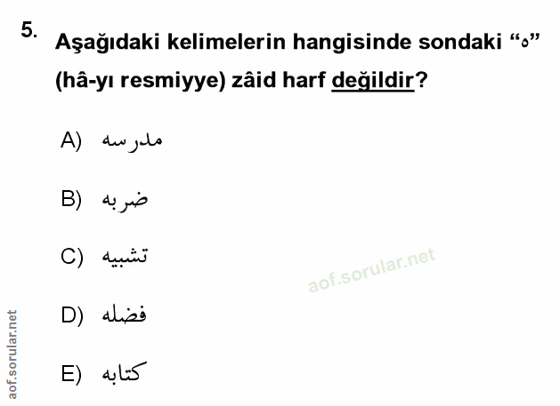 Soru 5