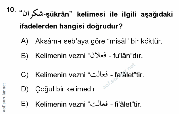 Soru 10