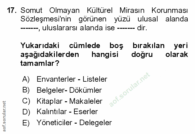 Soru 17