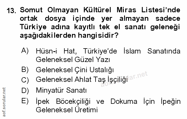 Soru 13