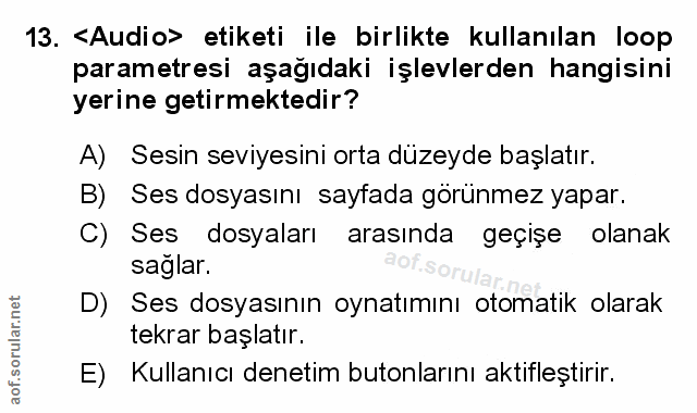 Soru 13