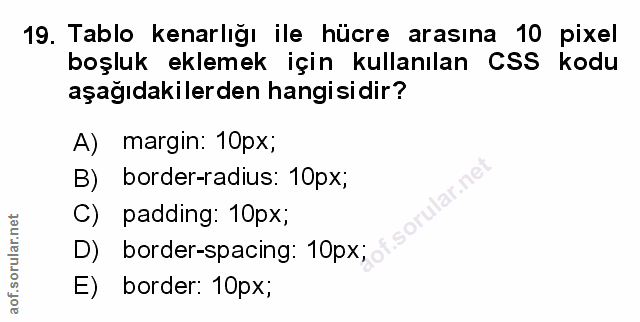 Soru 19