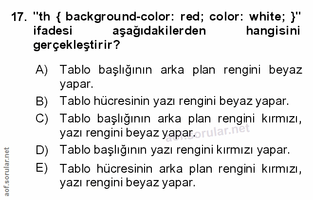 Soru 17