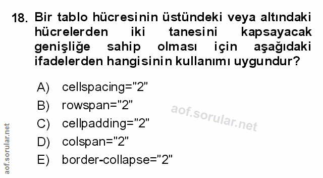 Soru 18