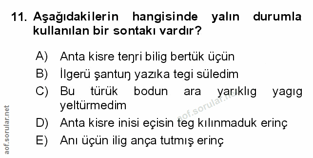Soru 11