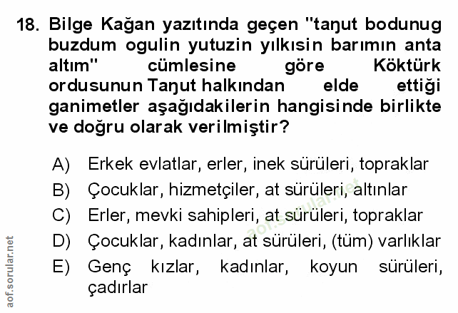 Soru 18