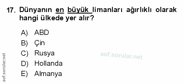 Soru 17