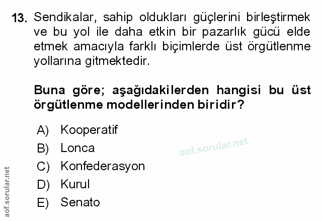 Soru 13