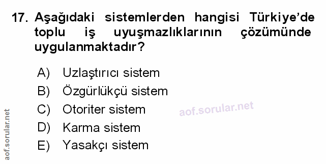 Soru 17