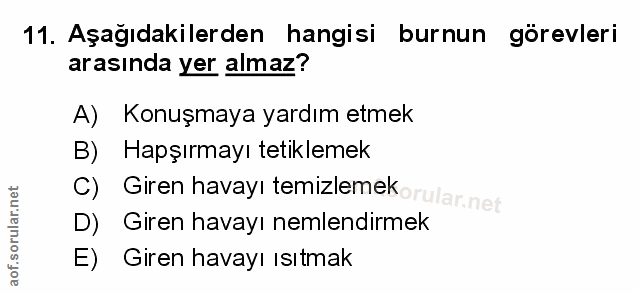 Soru 11
