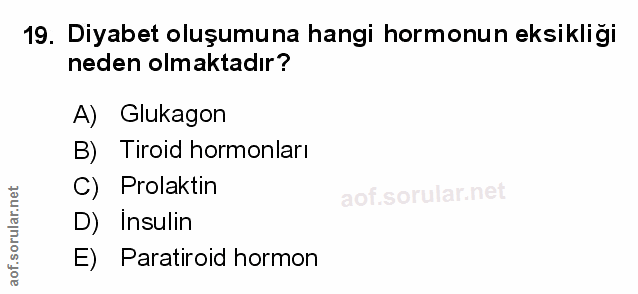 Soru 19