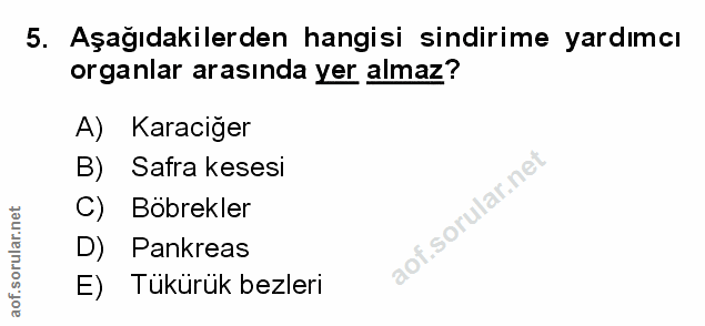 Soru 5