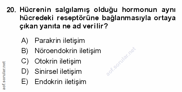 Soru 20