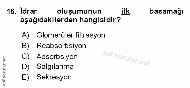 Soru 16