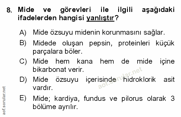 Soru 8