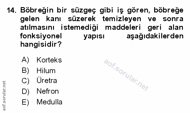 Soru 14