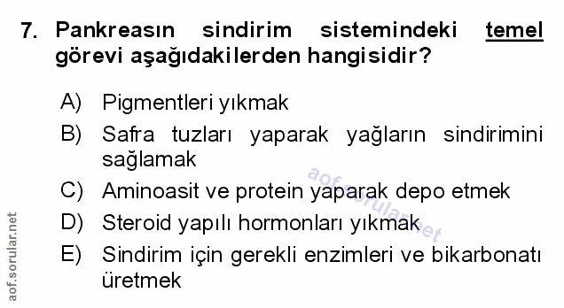 Soru 7