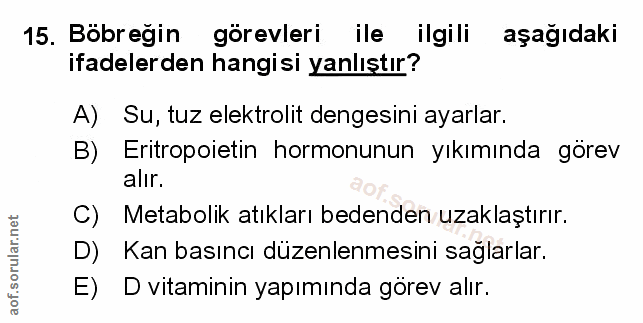 Soru 15