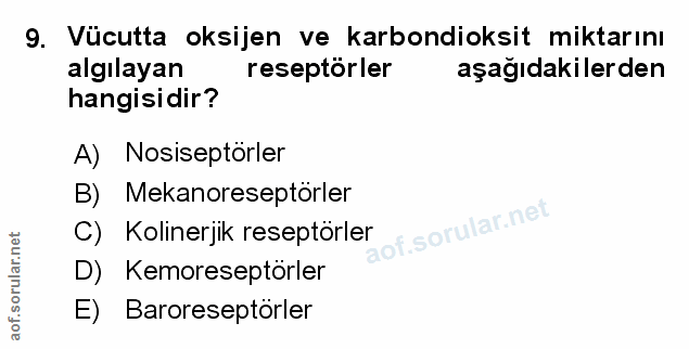 Soru 9