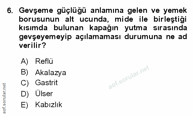 Soru 6